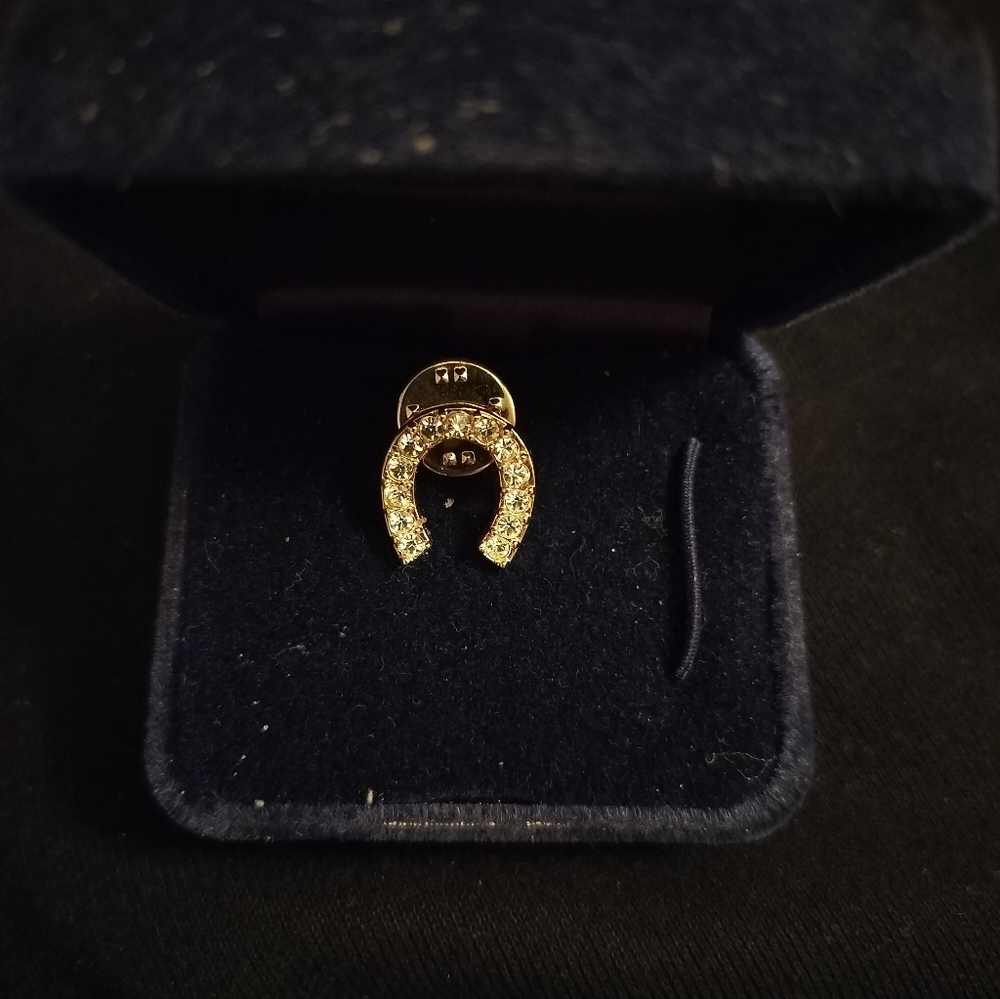 Jewelry Pin - Picture 2 of 3